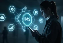 IMS Explained