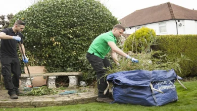 Garden Clearance