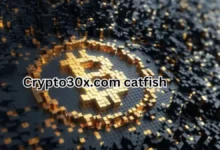 Crypto30x.com Catfish