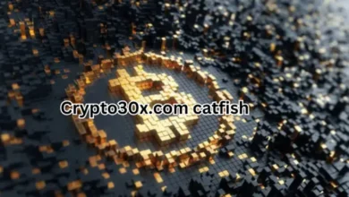 Crypto30x.com Catfish