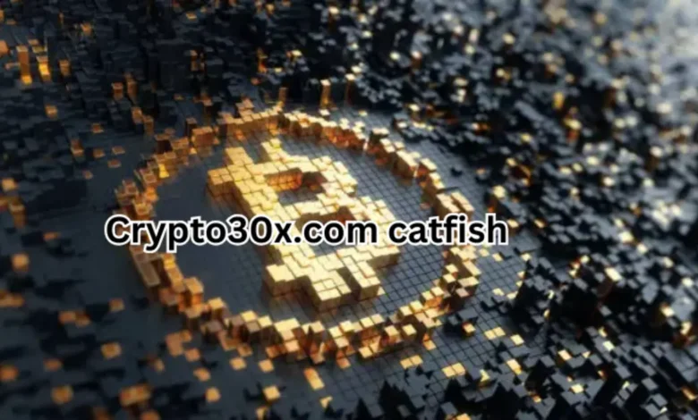 Crypto30x.com Catfish