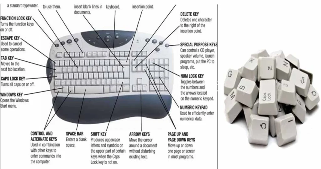 Types of Keys: The Essential Guide to Choosing the Right Key for Your Needs