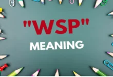 WSP Meaning