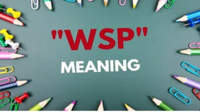WSP Meaning