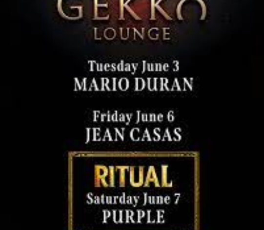 Gekko Miami